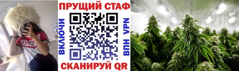 ГАШИШ Онега