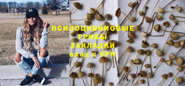 СК Беломорск