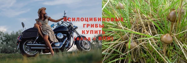 дмт Белоозёрский