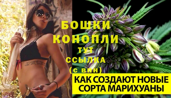 гидропоника Белокуриха