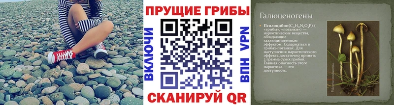 купить сайты Онега Псилоцибиновые грибы ЛСД